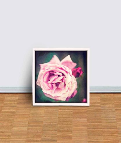 Fotopapier, seidenmatt 300g/m²
