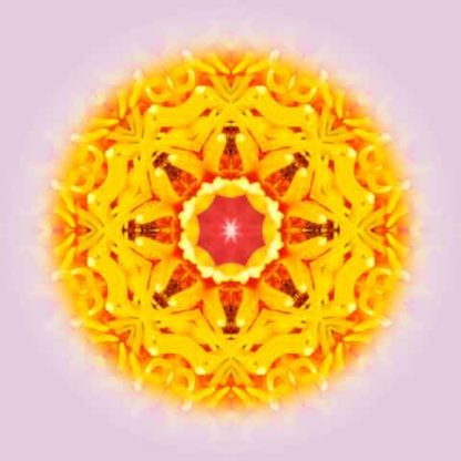 seerosen-mandala
