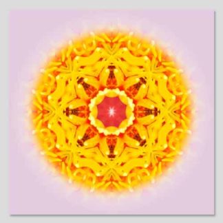 shop-mandala