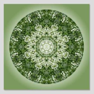 shop-mandala