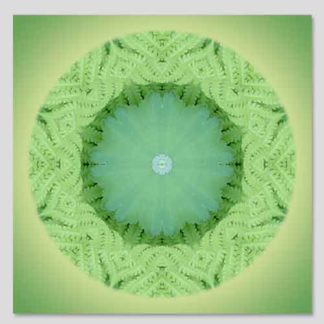 shop-mandala