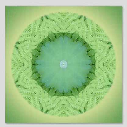 shop-mandala