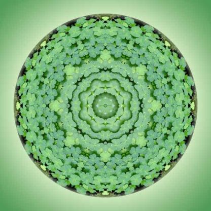 kleeblatt-mandala