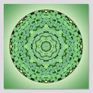 shop-mandala