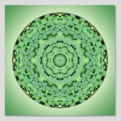 shop-mandala