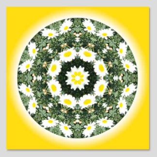 shop-mandala