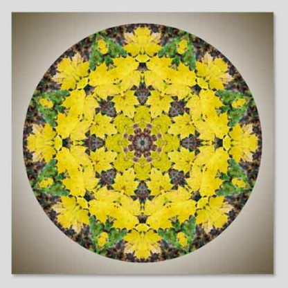 shop-mandala