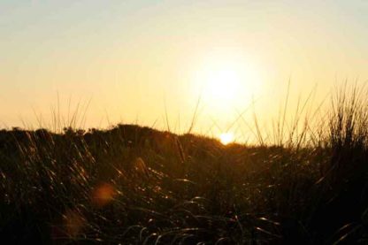 Holland Sonnenuntergang Düne – Bild 2