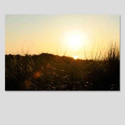 Holland Sonnenuntergang Düne