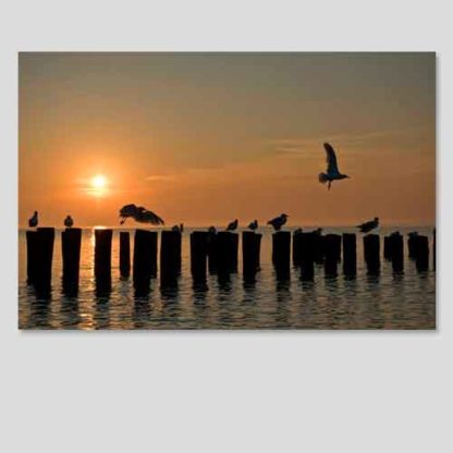 Holland Sonnenuntergang