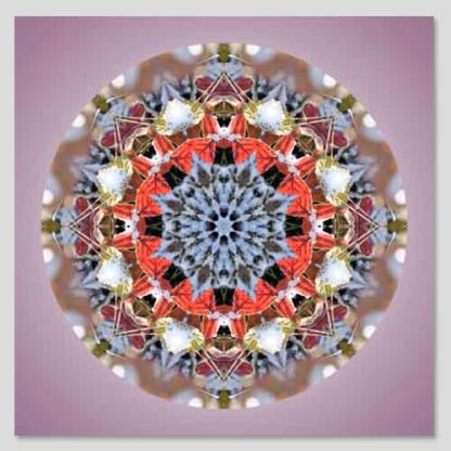 mandala
