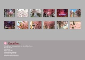 Rueckseite-kalender-2019