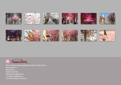 Rueckseite-kalender-2019