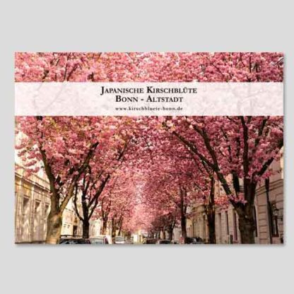 kalender-2019