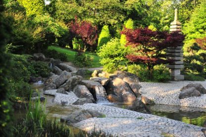 Japanischer Garten, Bonn – Bild 2