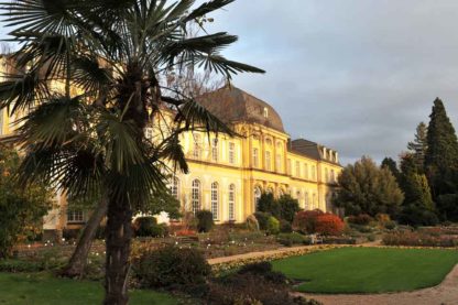 Poppelsdorfer Schloss mit Palme, Bonn – Bild 2