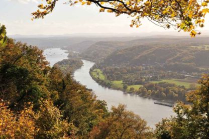 Rheinblick vom Drachenfels – Bild 2