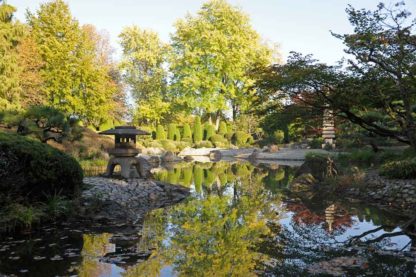 japanischer-garten-bonn