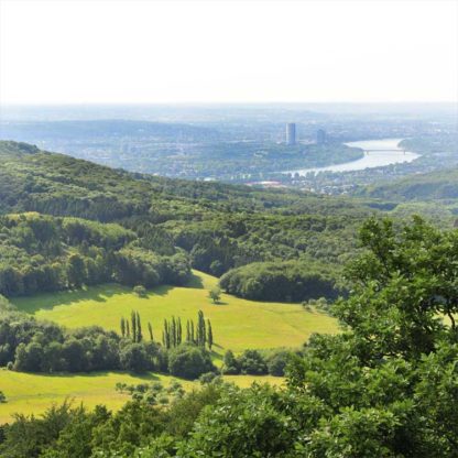 bonn-panorama-sommer