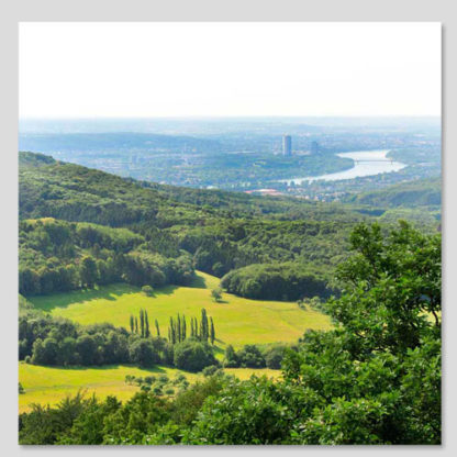 Siebengebirge/Bonn-Panorama im Sommer