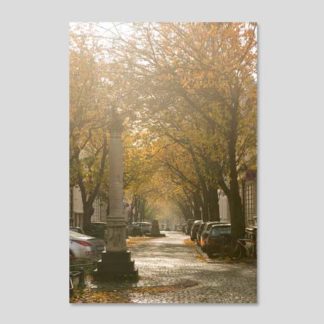 Altstadt-Herbst