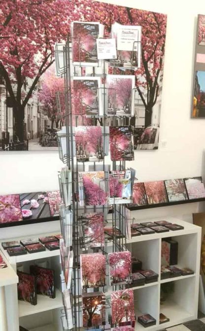 POSTKARTEN-SET 1 "Kirschblüte-Bonn" 10 Stück – Bild 2