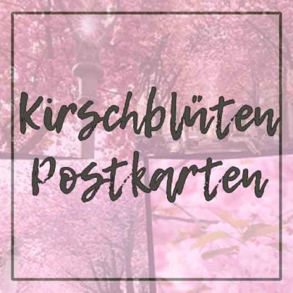 POSTKARTEN-SET 1 "Kirschblüte-Bonn" 10 Stück