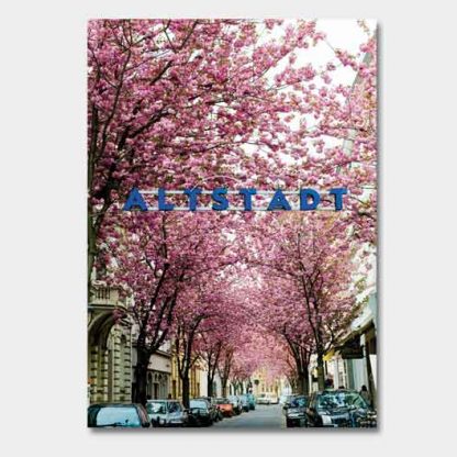 Kirschblüte Bonn - Altstadt #16 – Bild 2