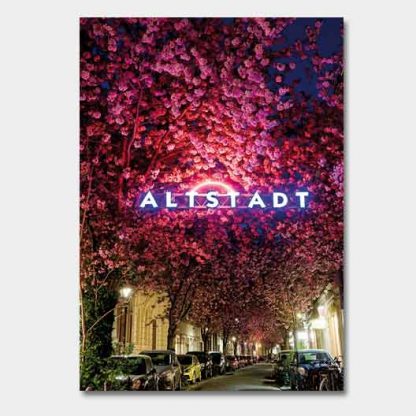 Kirschblüte Bonn - Altstadt #5 MDF