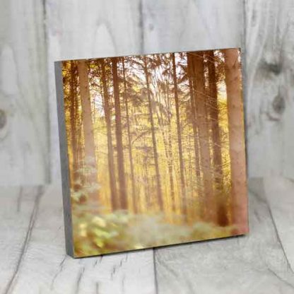 Herbstwald-Vintage-Bearbeitung – Bild 5