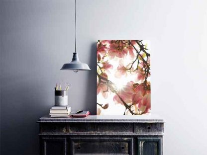 Magnolie#3 – Bild 3
