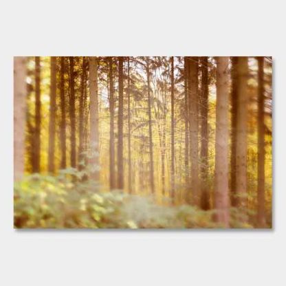 Herbstwald-Vintage-Bearbeitung