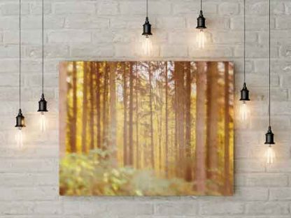 Herbstwald-Vintage-Bearbeitung – Bild 3