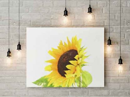 Sonnenblume – Bild 3