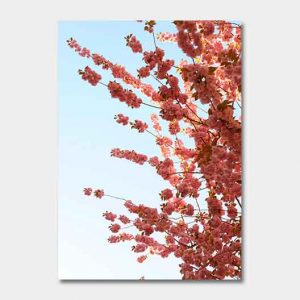 Kalender-2022