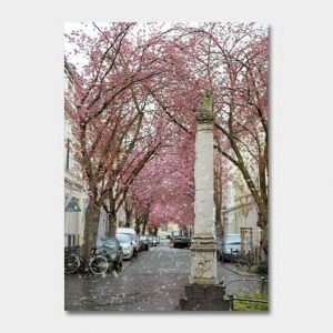 Kalender-2022