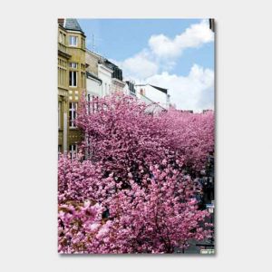 Kalender-2022
