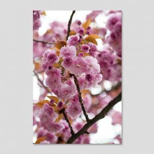 Kalender-2022