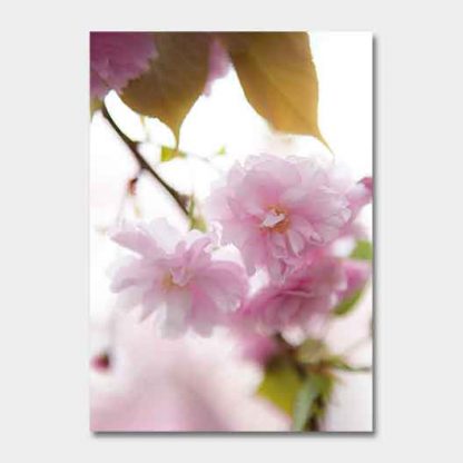Kalender-2022