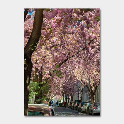 Kalender-2022