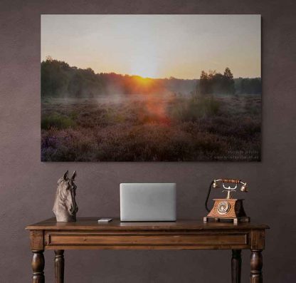 Wahner Heide Sonnenaufgang #2 – Bild 3