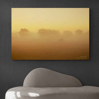 Wahner Heide Sonnenaufgang, Nebel – Bild 3