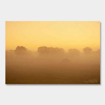 Wahner Heide Sonnenaufgang, Nebel