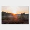 Wahner Heide Sonnenaufgang #2