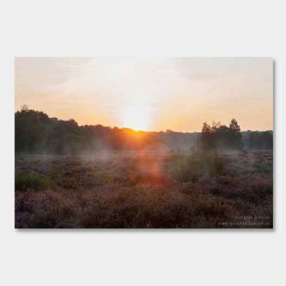 Wahner Heide Sonnenaufgang #2