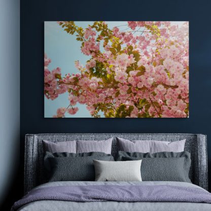 20 x 30 cm Leinwand Kirschblüte Bonn #22 – Bild 3