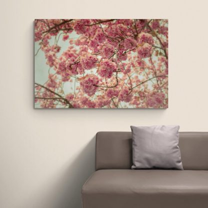 20x30 cm Leinwand Kirschblüte Bonn #54 Special Offer – Bild 2