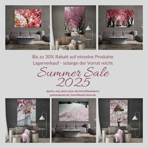 Special Offer - Summer Sale 2025