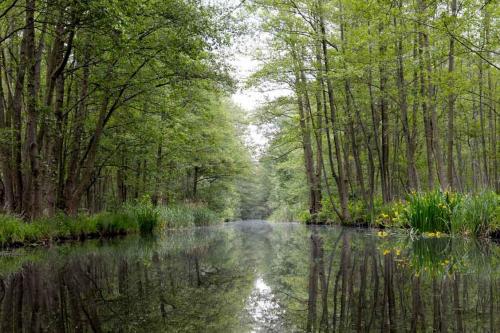 Spreewald DSC9651