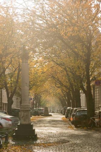 altstadt-herbst